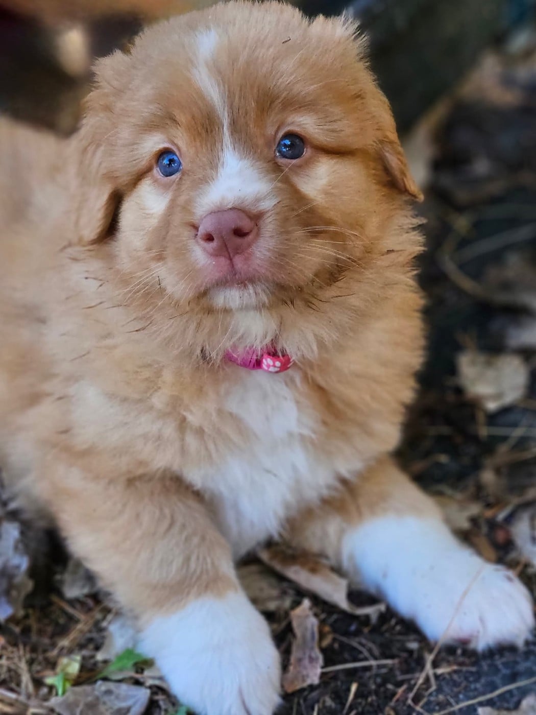 Tuffntendr Callin'the Whisper of the Breeze