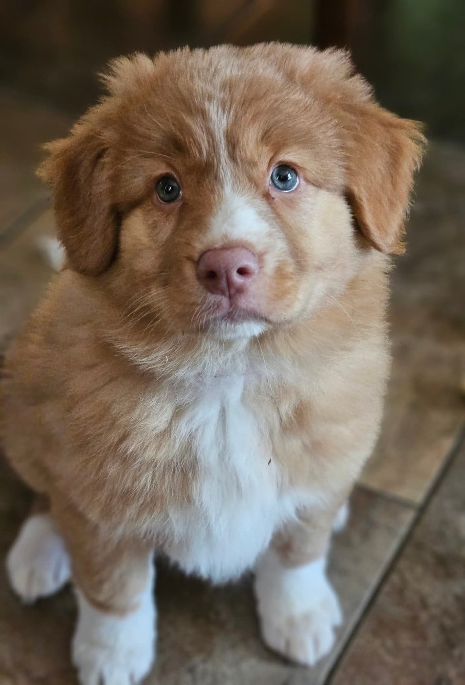 Tuffntendr Callin'the Whisper of the Breeze