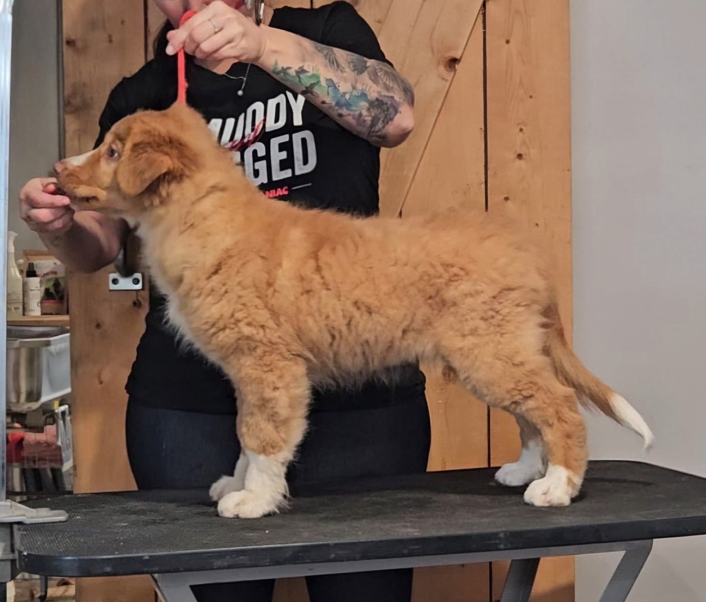 Tuffntendr Callin'the Whisper of the Breeze