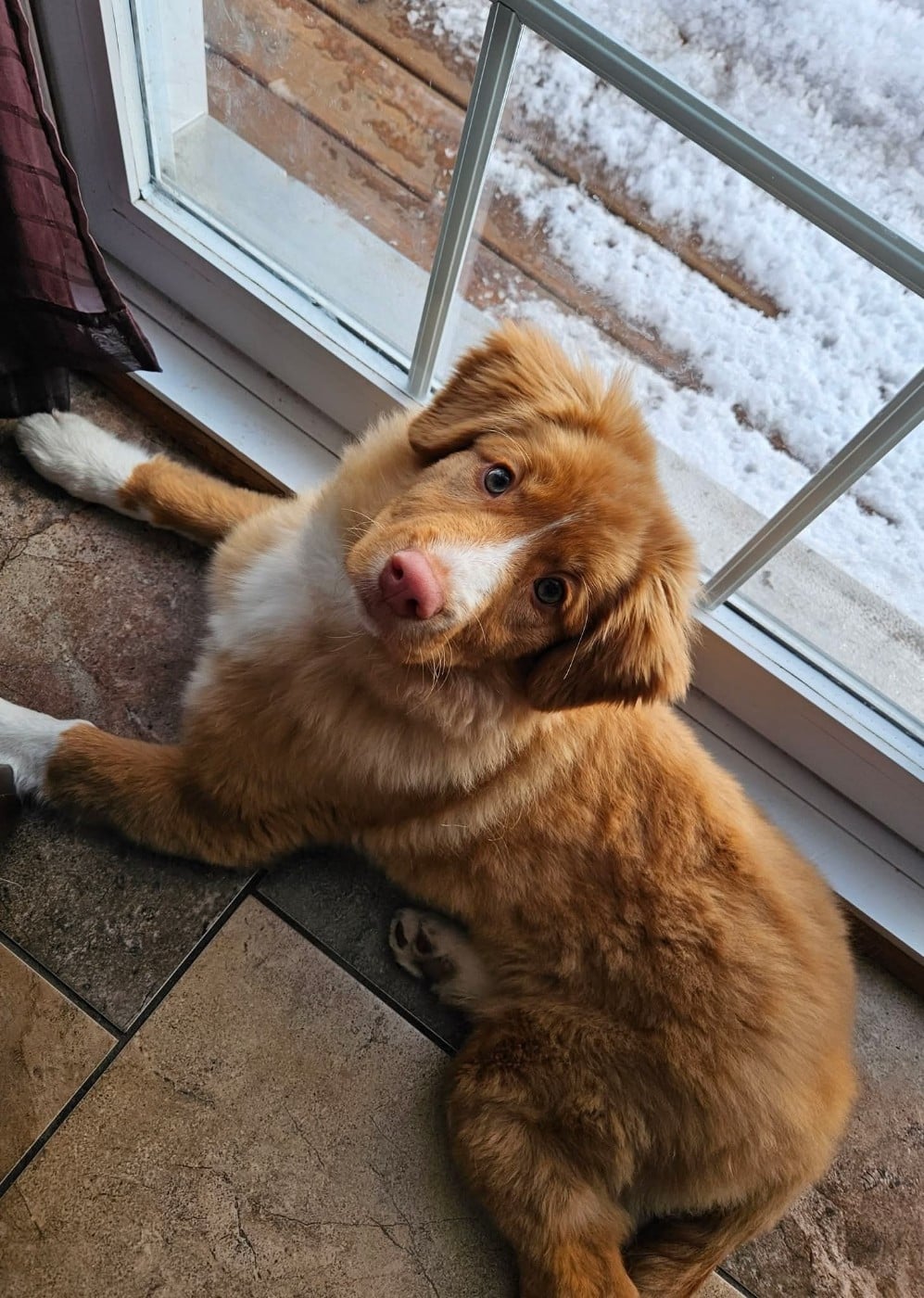 Tuffntendr Callin'the Whisper of the Breeze