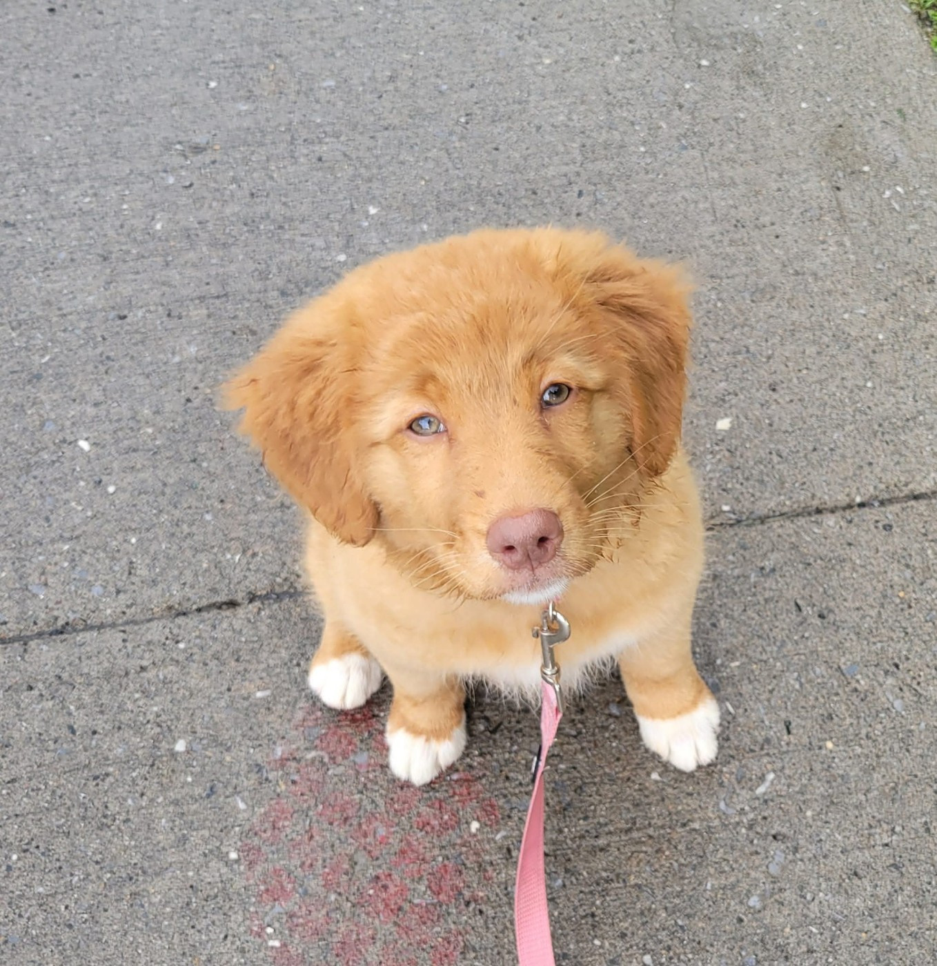 Tuffntendr Love Like an Earthkwack Rumble