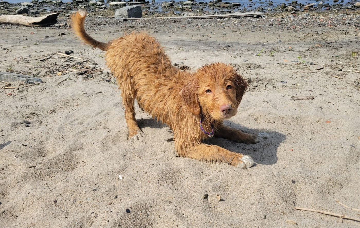 Tuffntendr Love Like an Earthkwack Rumble