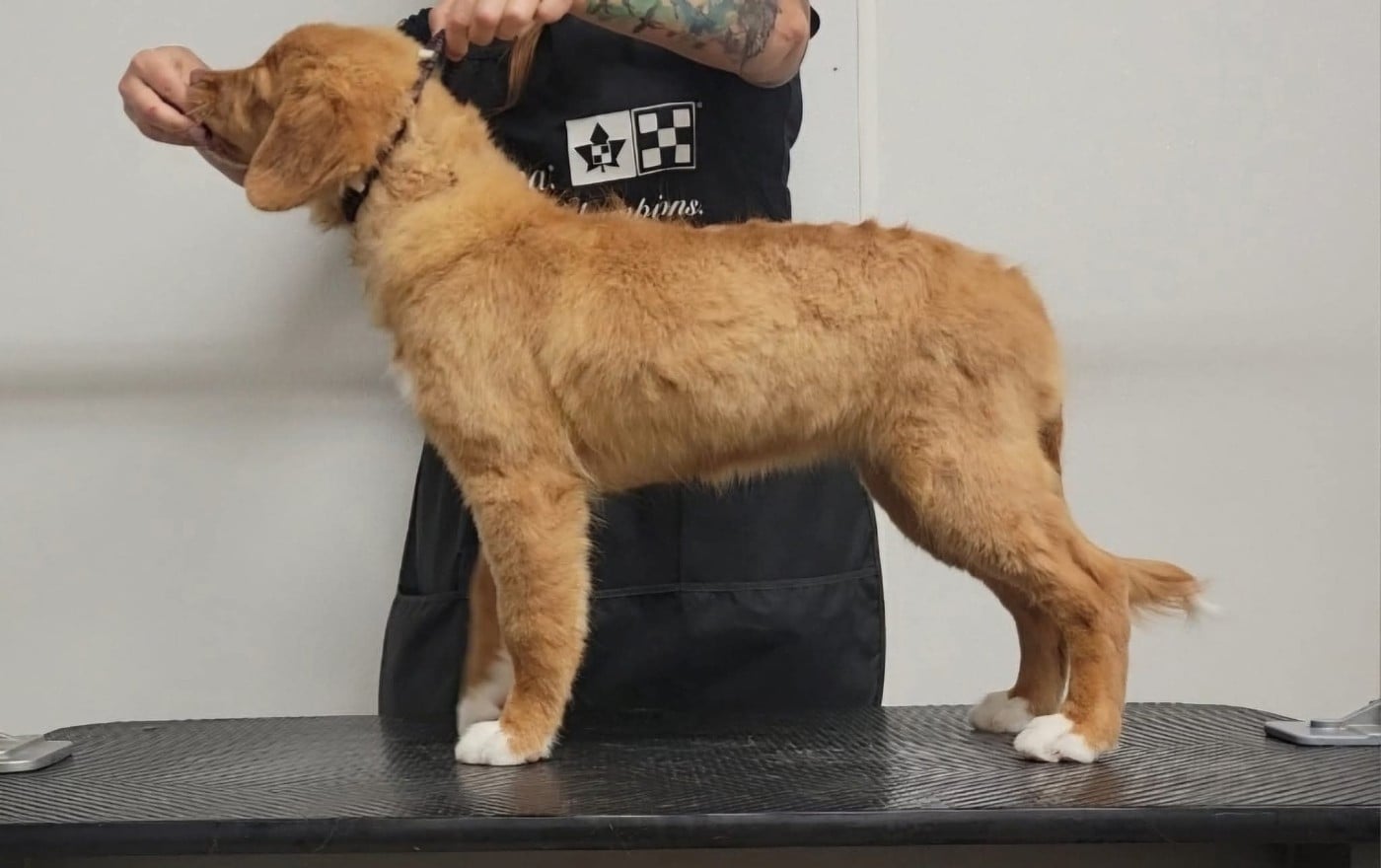 Tuffntendr Love Like an Earthkwack Rumble