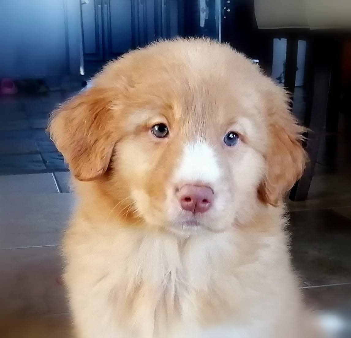 Tuffntendr Spice up your Life