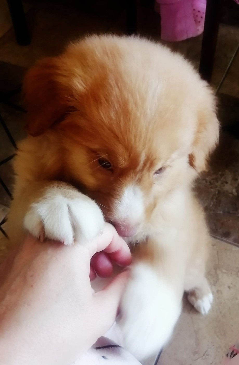 Tuffntendr Spice up your Life