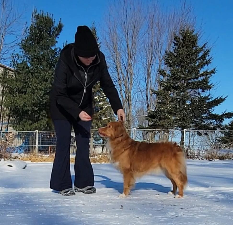 Tuffntendr Spice up your Life