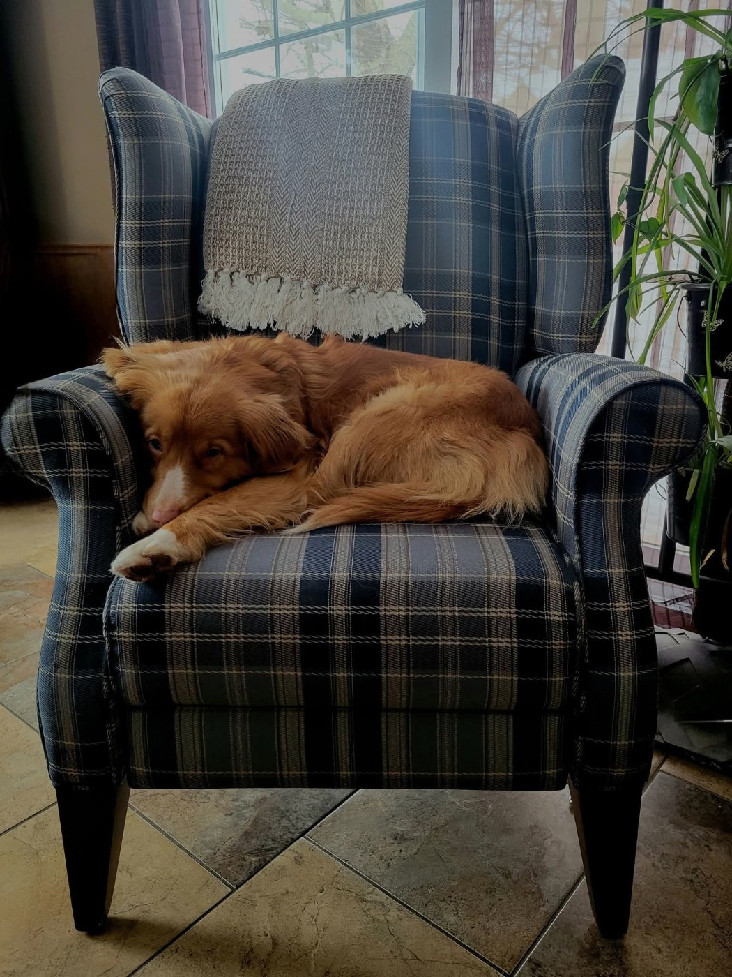 Tuffntendr Spice up your Life