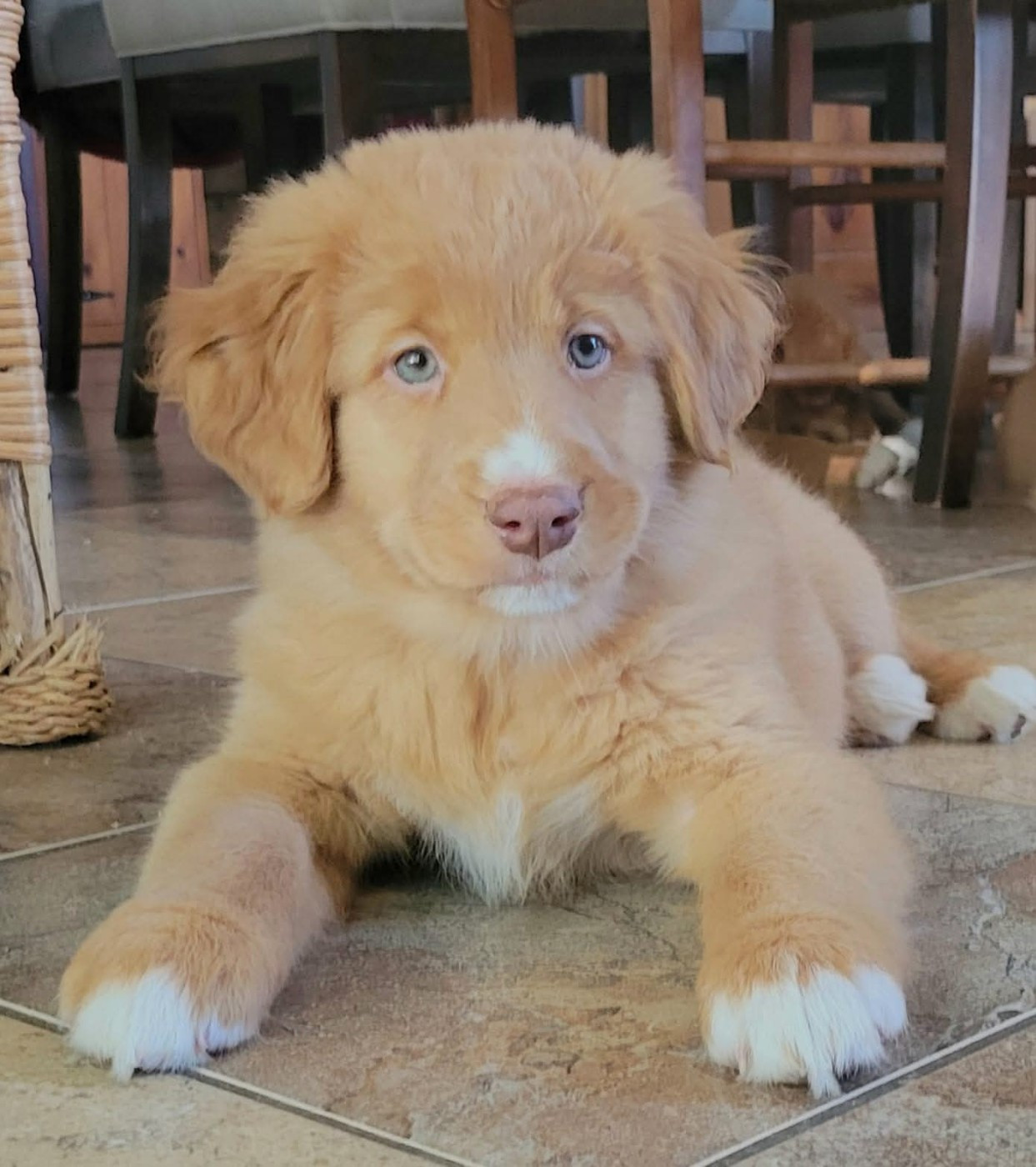 Tuffntendr Spice up your Life