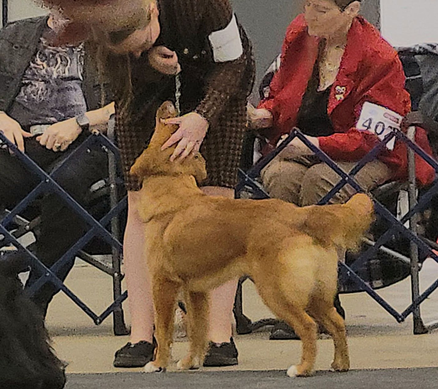 Tuffntendr The Gambler with All Aces