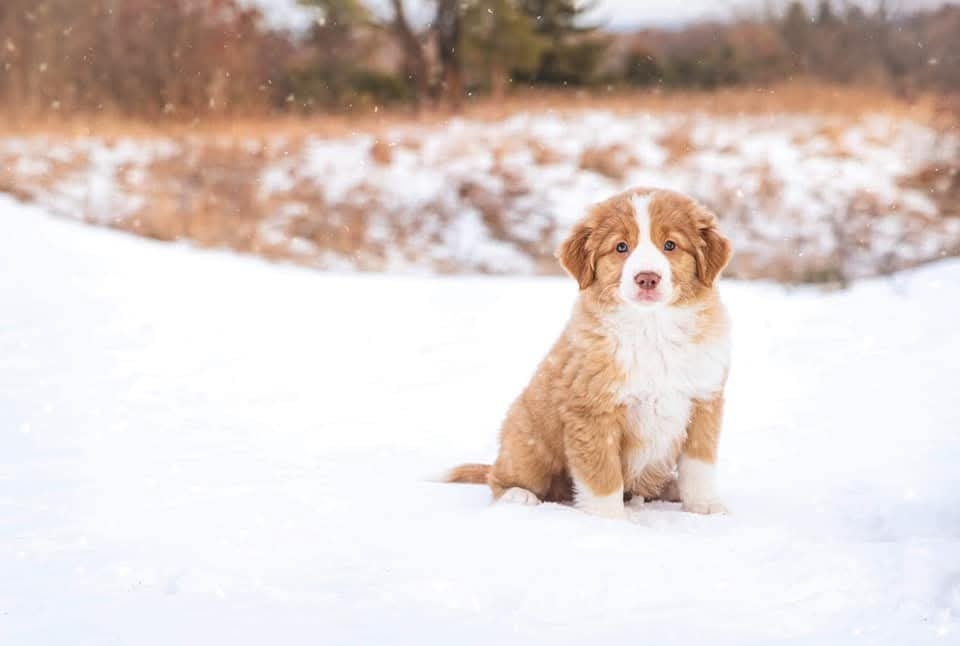 Tuffntendr Truth be Told