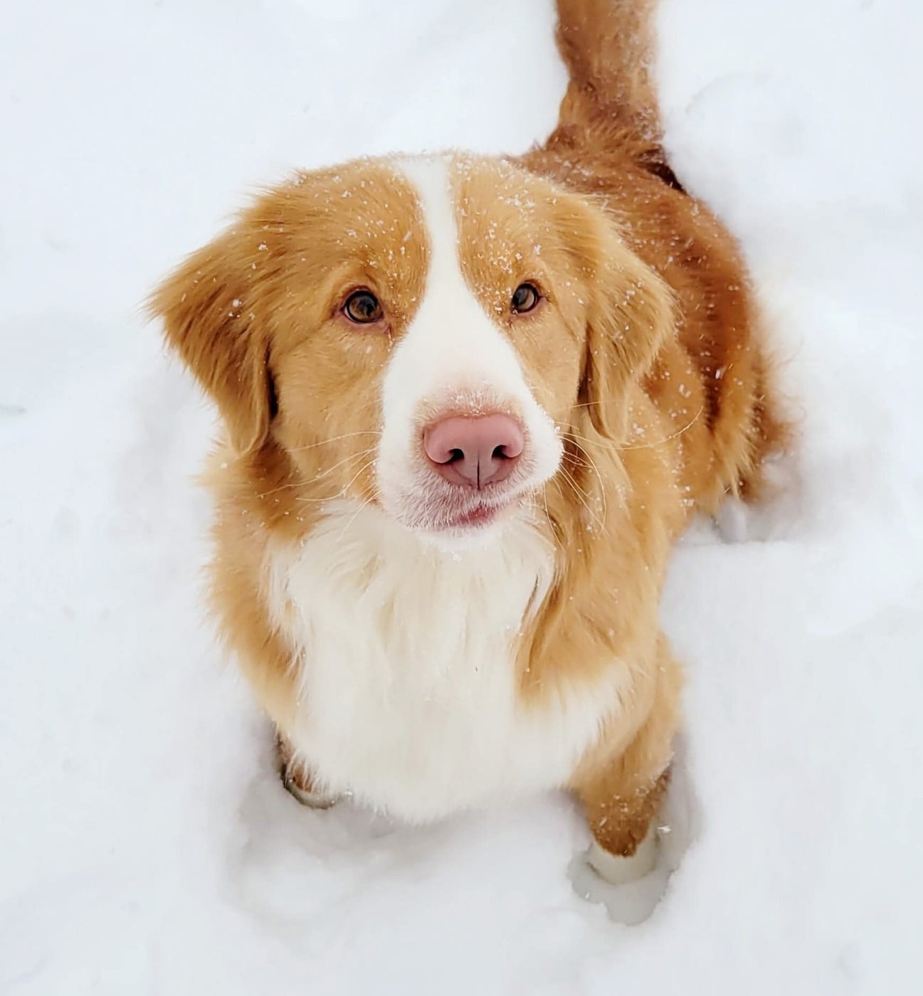 Tuffntendr Truth be Told