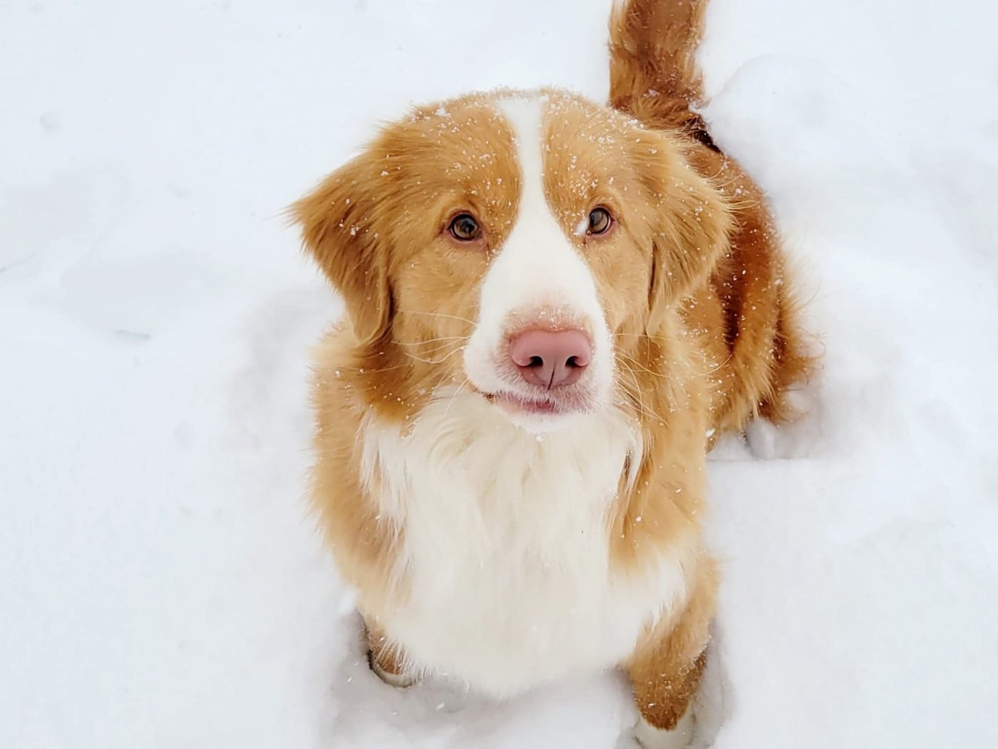 Tuffntendr Truth be Told