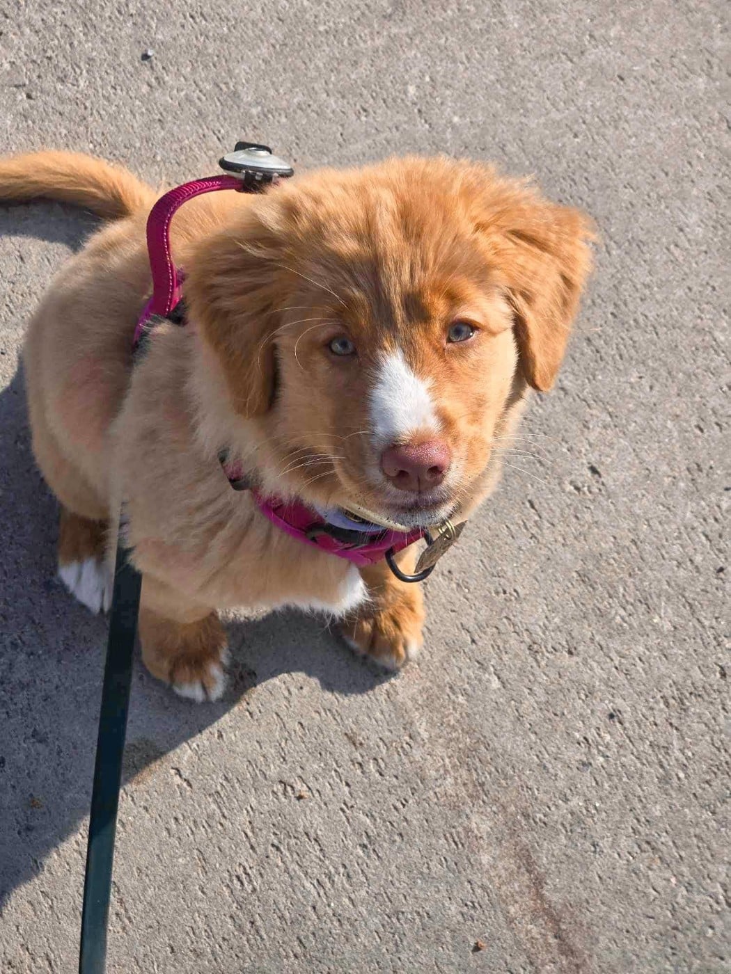 Tuffntendr Two Tikets Fr A Miracle by Four O'Clock