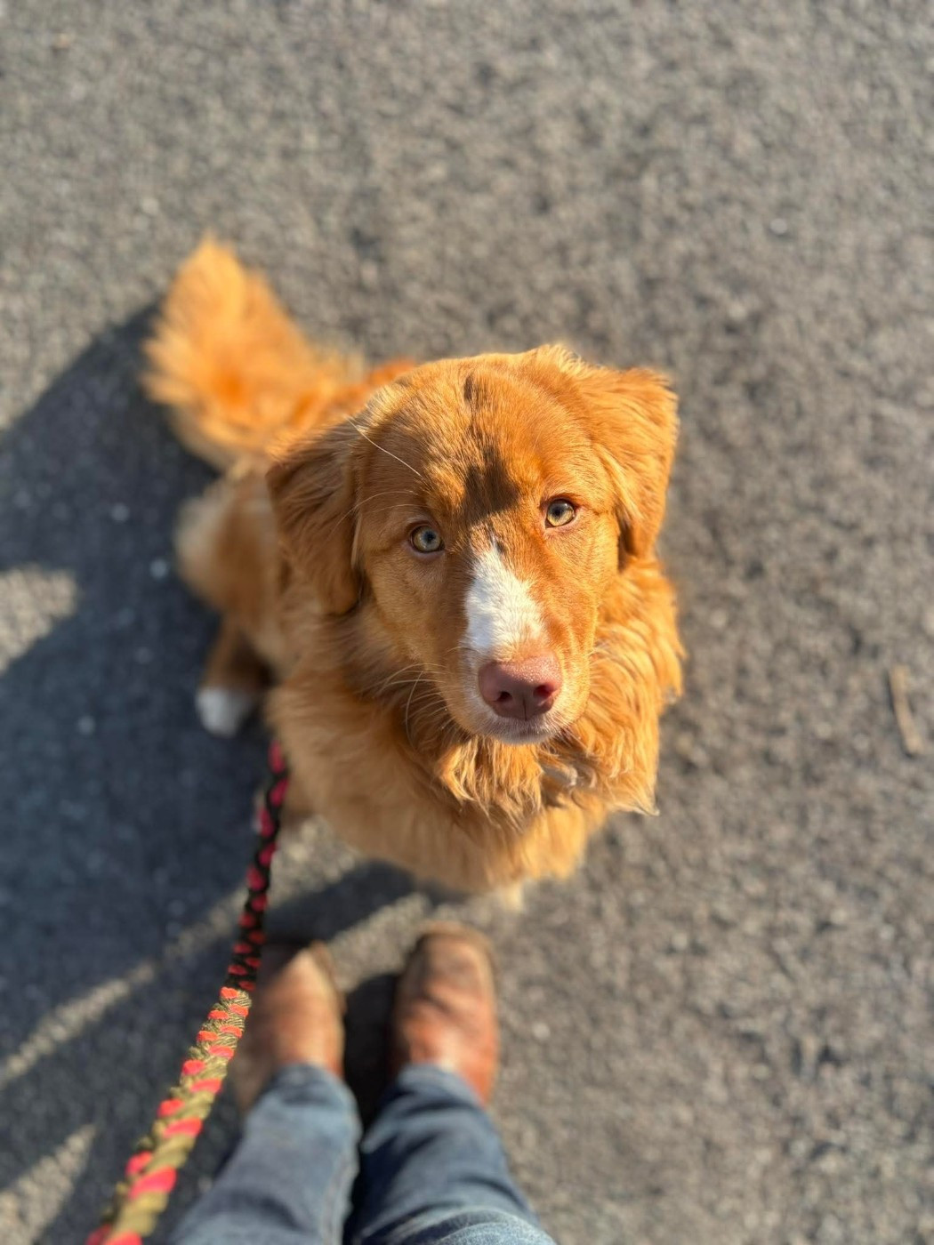 Tuffntendr Two Tikets Fr A Miracle by Four O'Clock