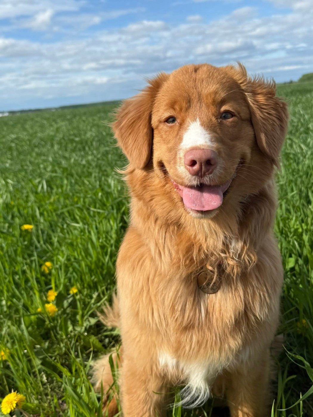 Tuffntendr Two Tikets Fr A Miracle by Four O'Clock