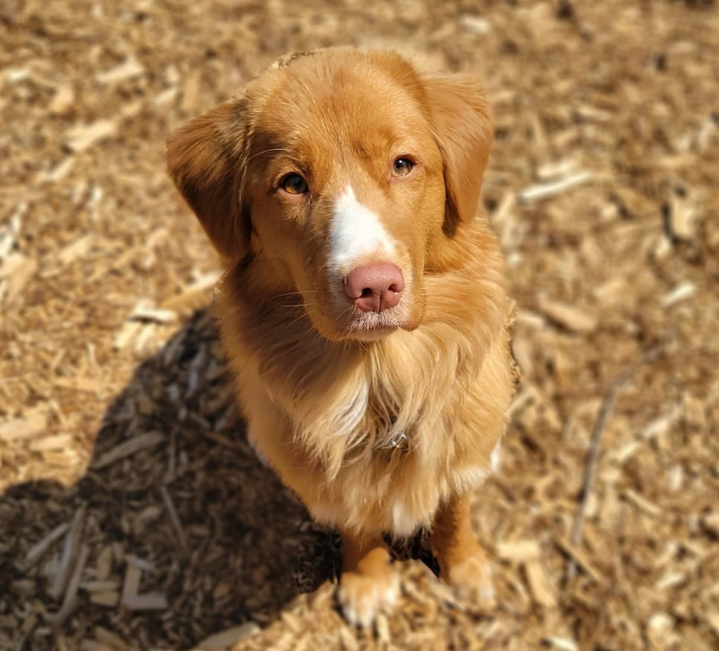 Tuffntendr Two Tikets Fr A Miracle by Four O'Clock