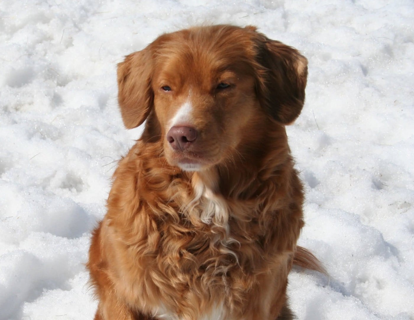 Tuffntendr Béa Béatrice