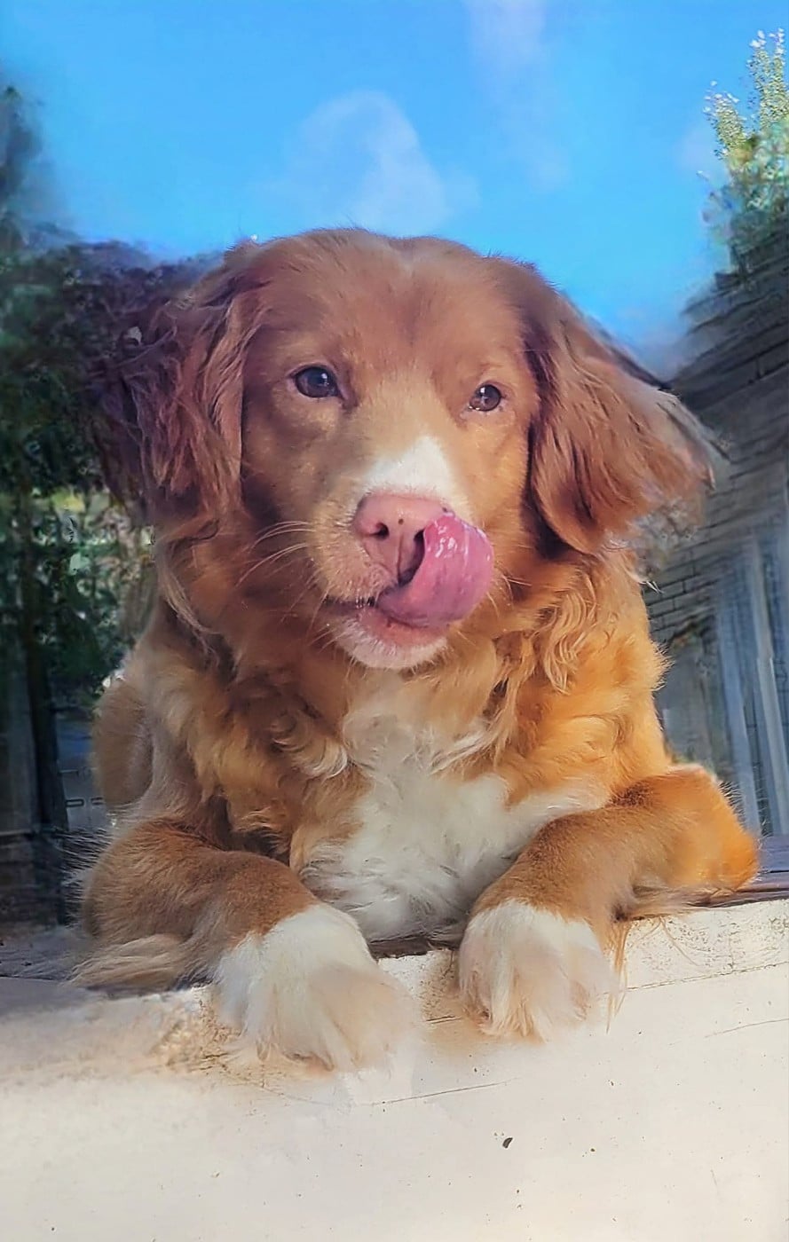 Tuffntendr Worth a Penny