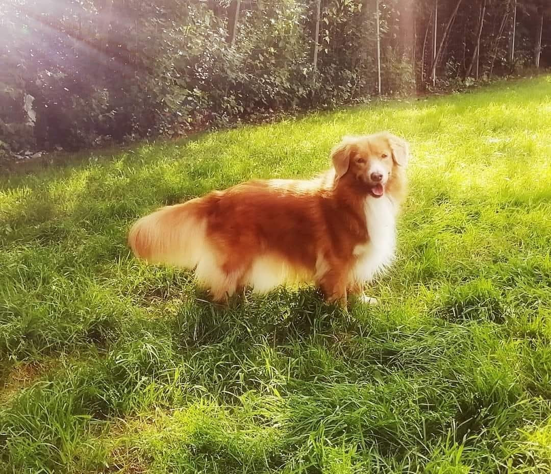 Tuffntendr Red Hot Chilli Laura