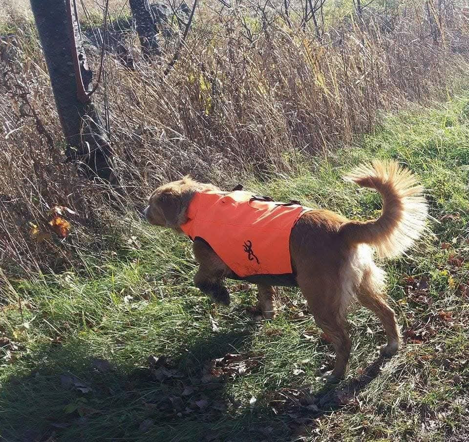 Tuffntendr Red Hot Chilli Laura