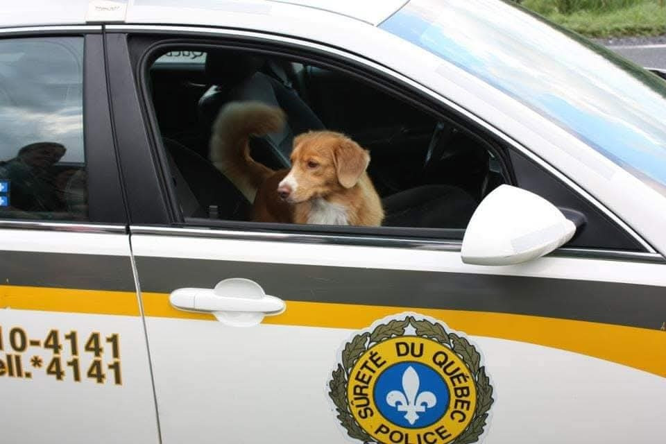 Tuffntendr Red Hot Chilli Laura