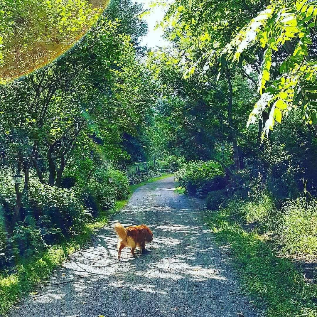 Tuffntendr Red Hot Chilli Laura