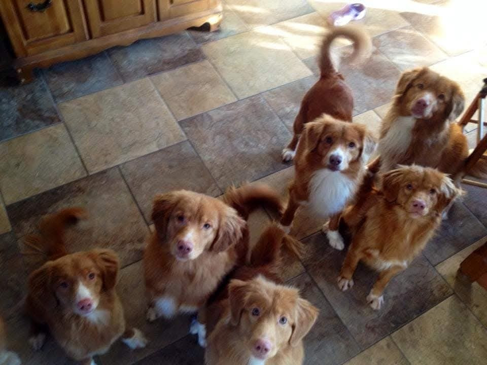 Tuffntendr Red Hot Chilli Laura