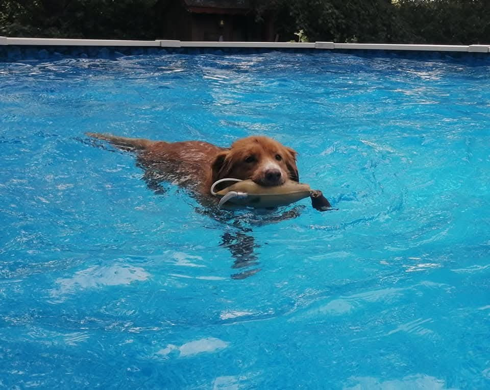 Tuffntendr Red Hot Chilli Laura