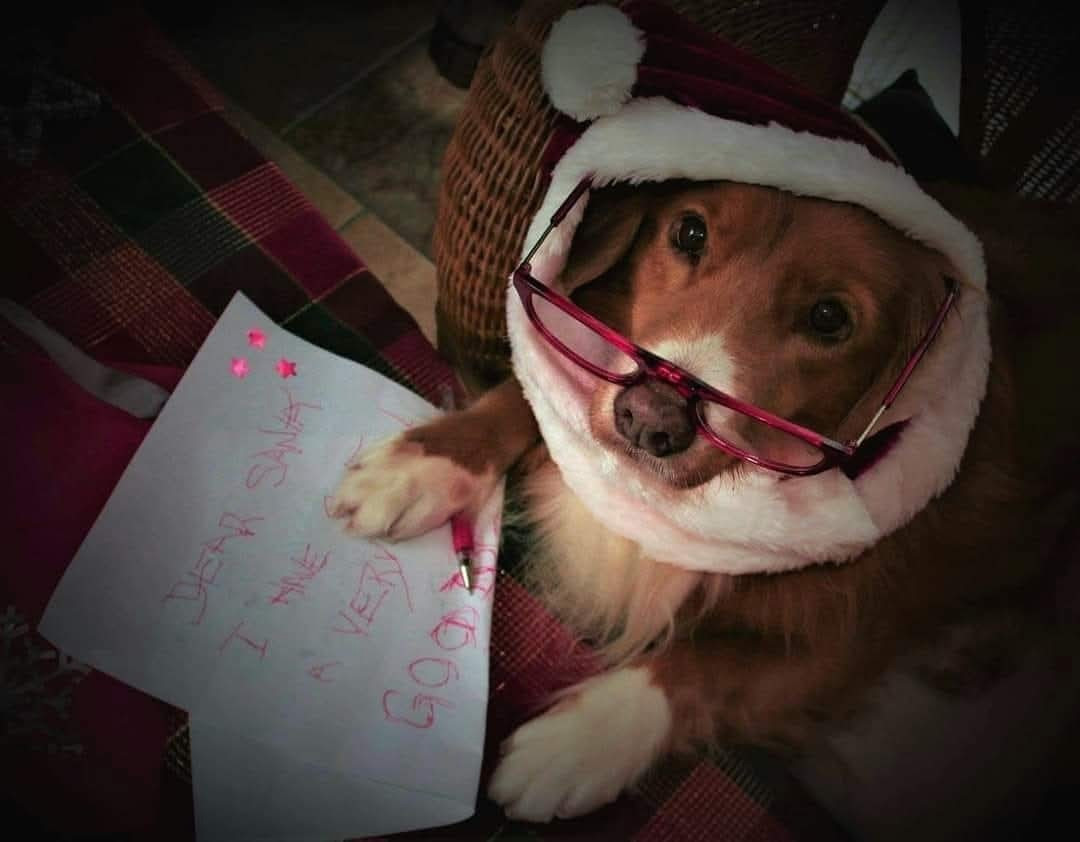 Tuffntendr Red Hot Chilli Laura