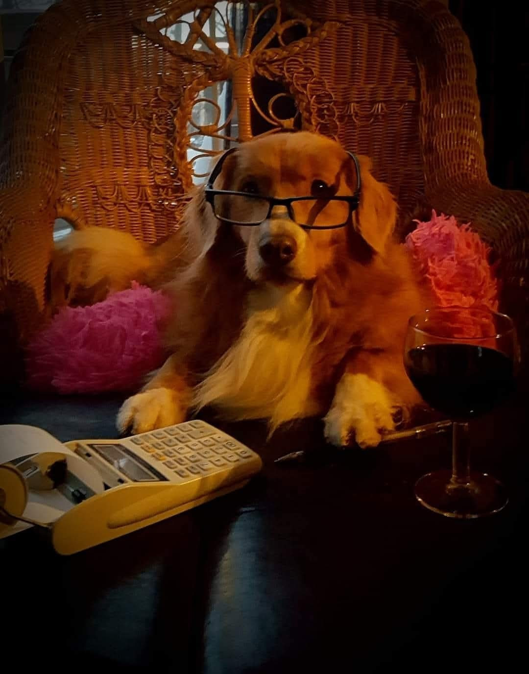 Tuffntendr Red Hot Chilli Laura