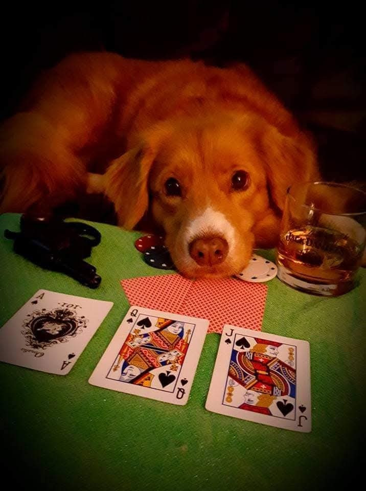 Tuffntendr Red Hot Chilli Laura