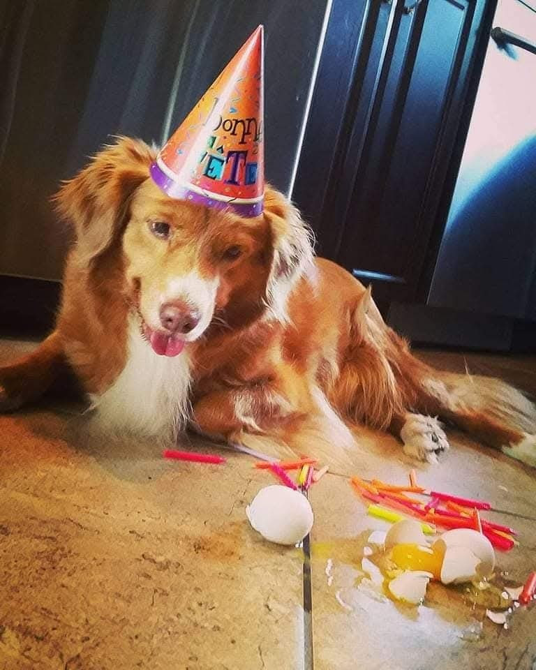 Tuffntendr Red Hot Chilli Laura