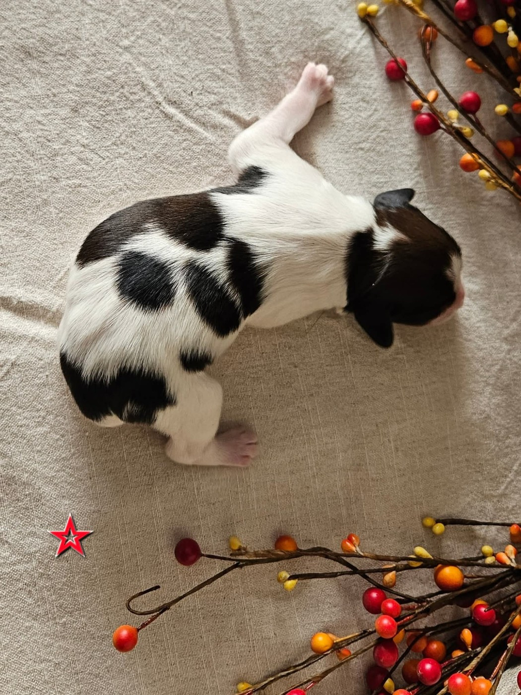 Tuffntendr Pop Up the Confetti