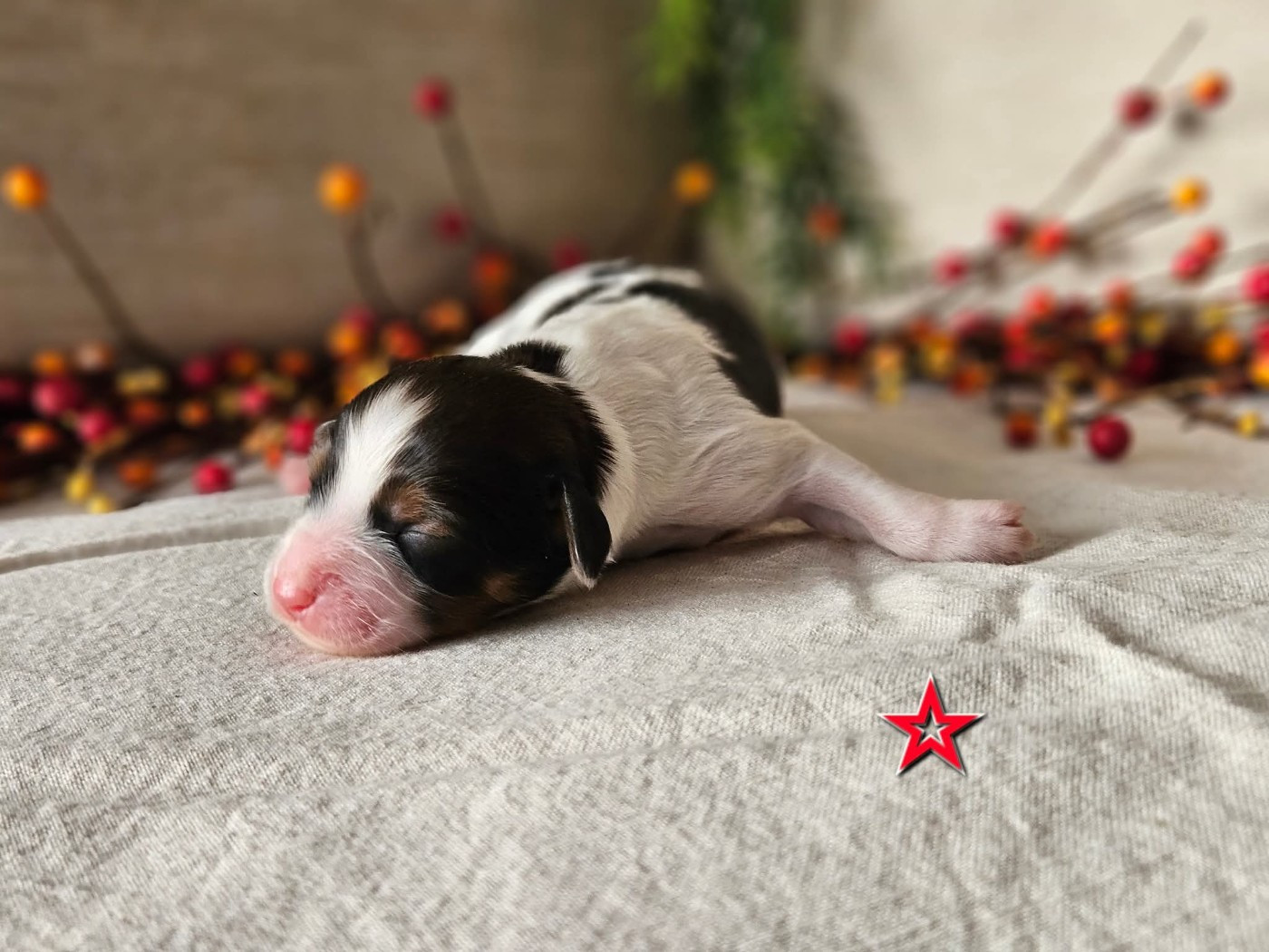 Tuffntendr Pop Up the Confetti