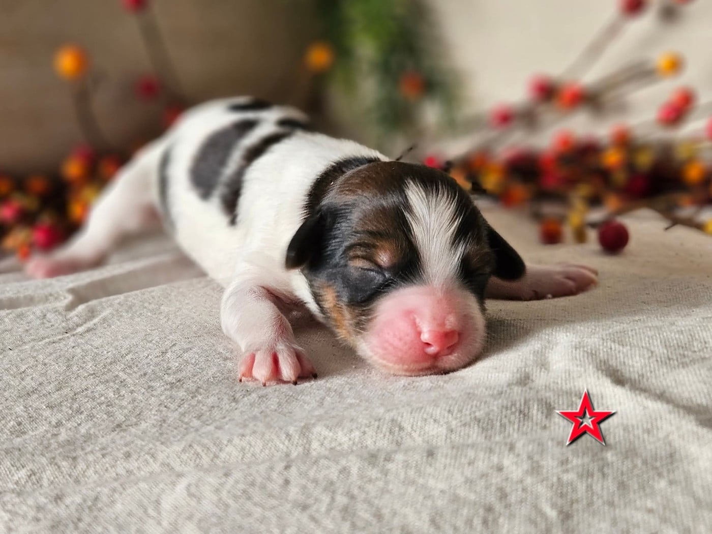 Tuffntendr Pop Up the Confetti