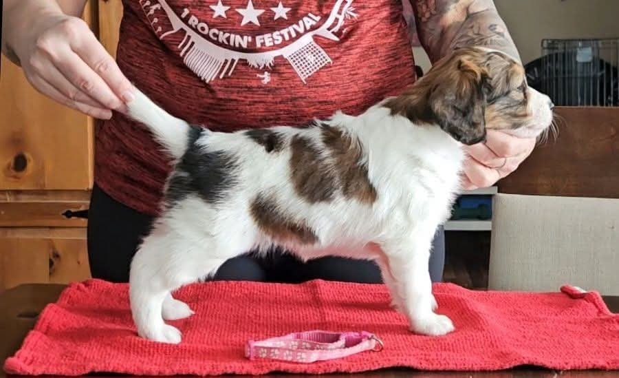 Tuffntendr Pop Up the Confetti