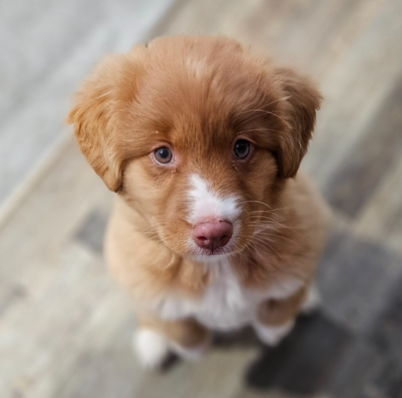 Tuffntendr What if the Girl is a Gangster