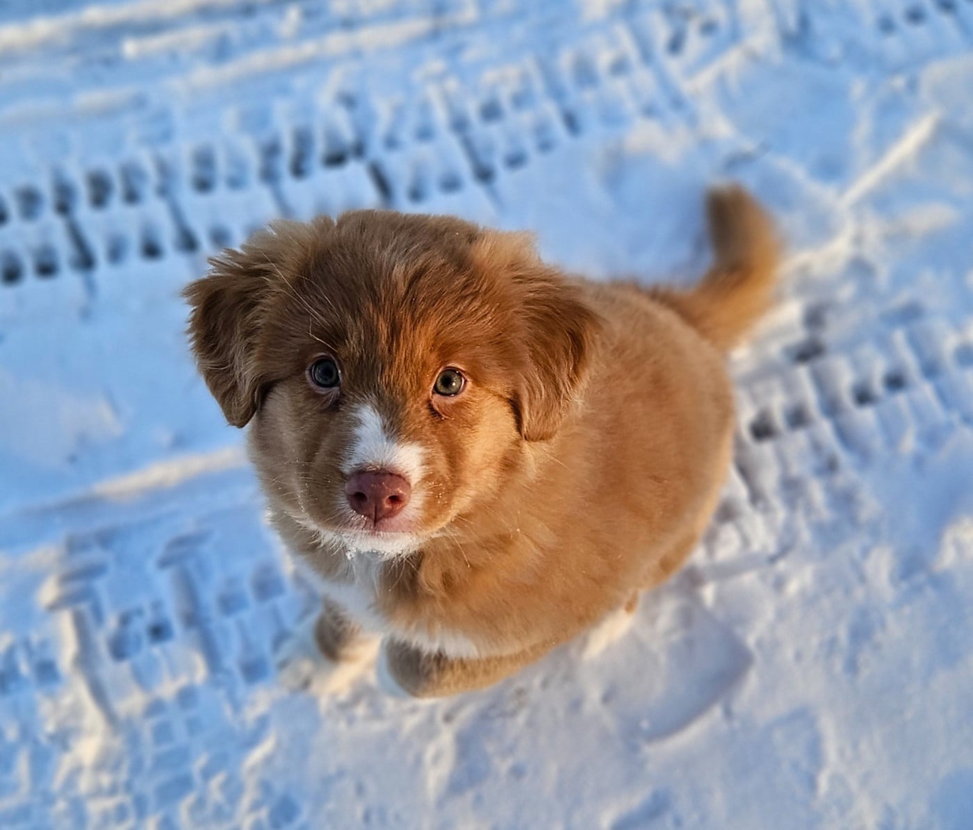 Tuffntendr What if the Girl is a Gangster