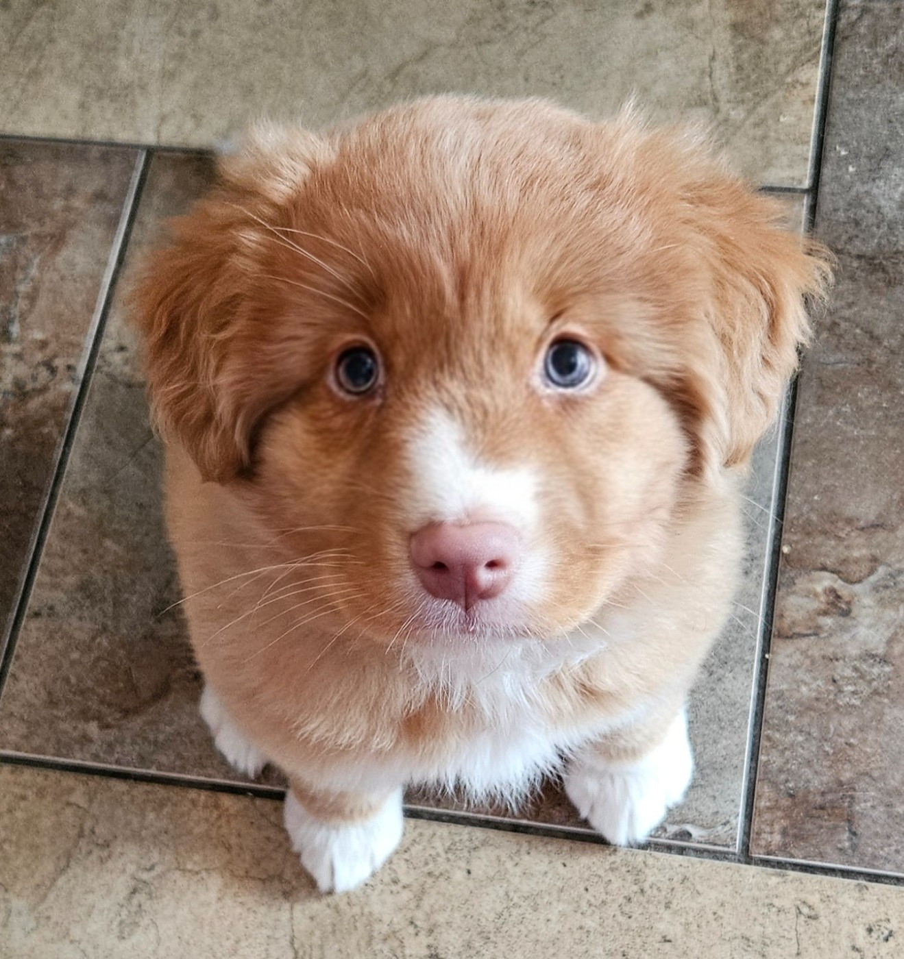 Tuffntendr What if the Girl is a Gangster