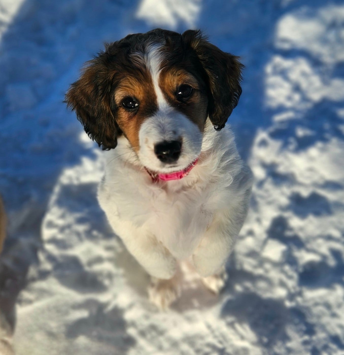 Tuffntendr Pop Up the Confetti