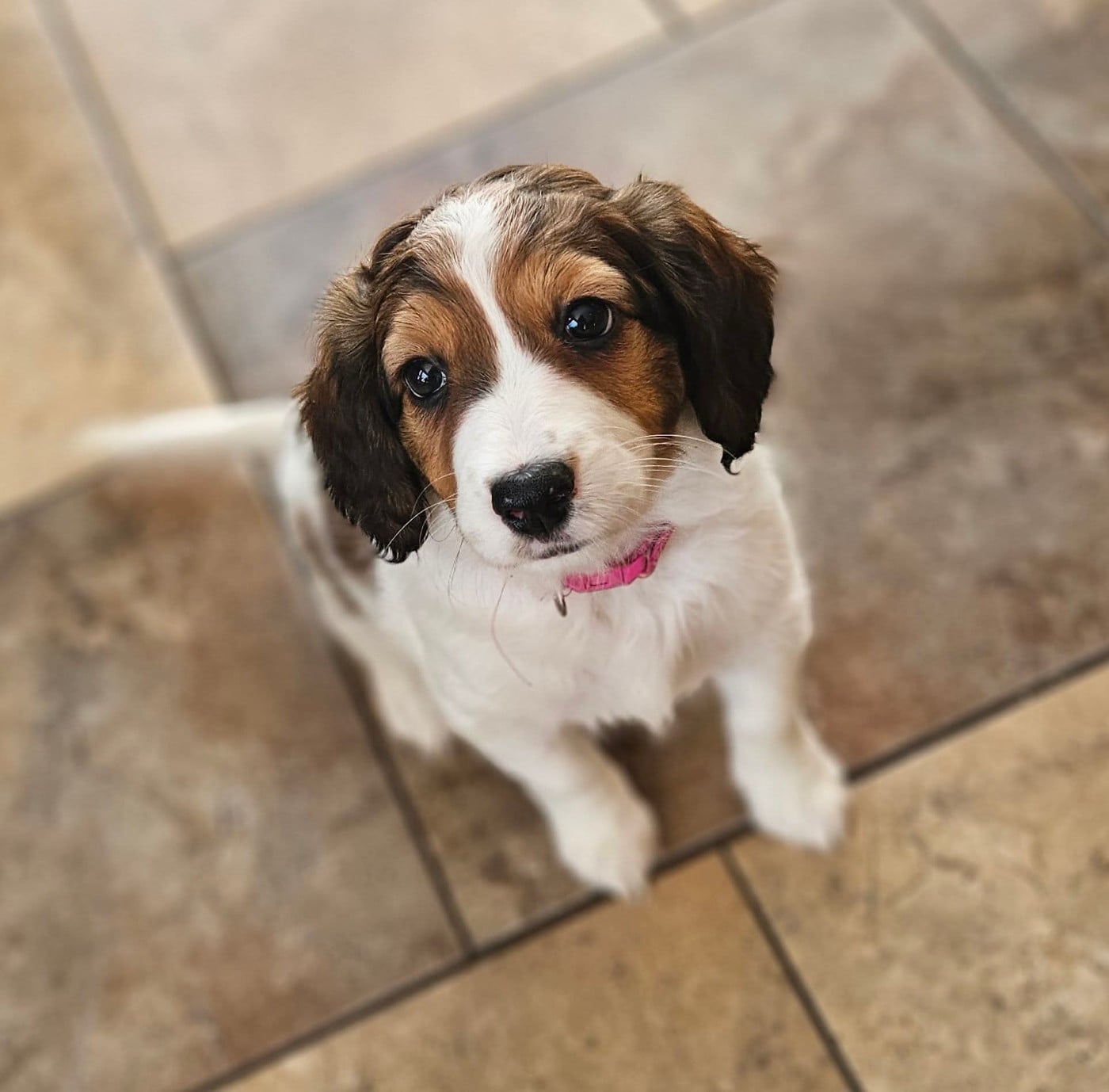 Tuffntendr Pop Up the Confetti