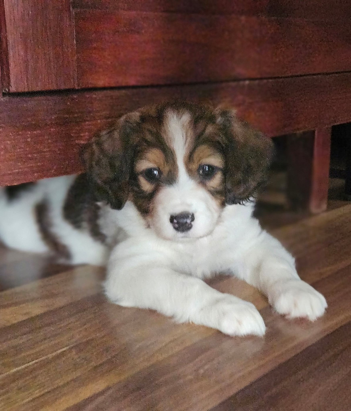 Tuffntendr Pop Up the Confetti