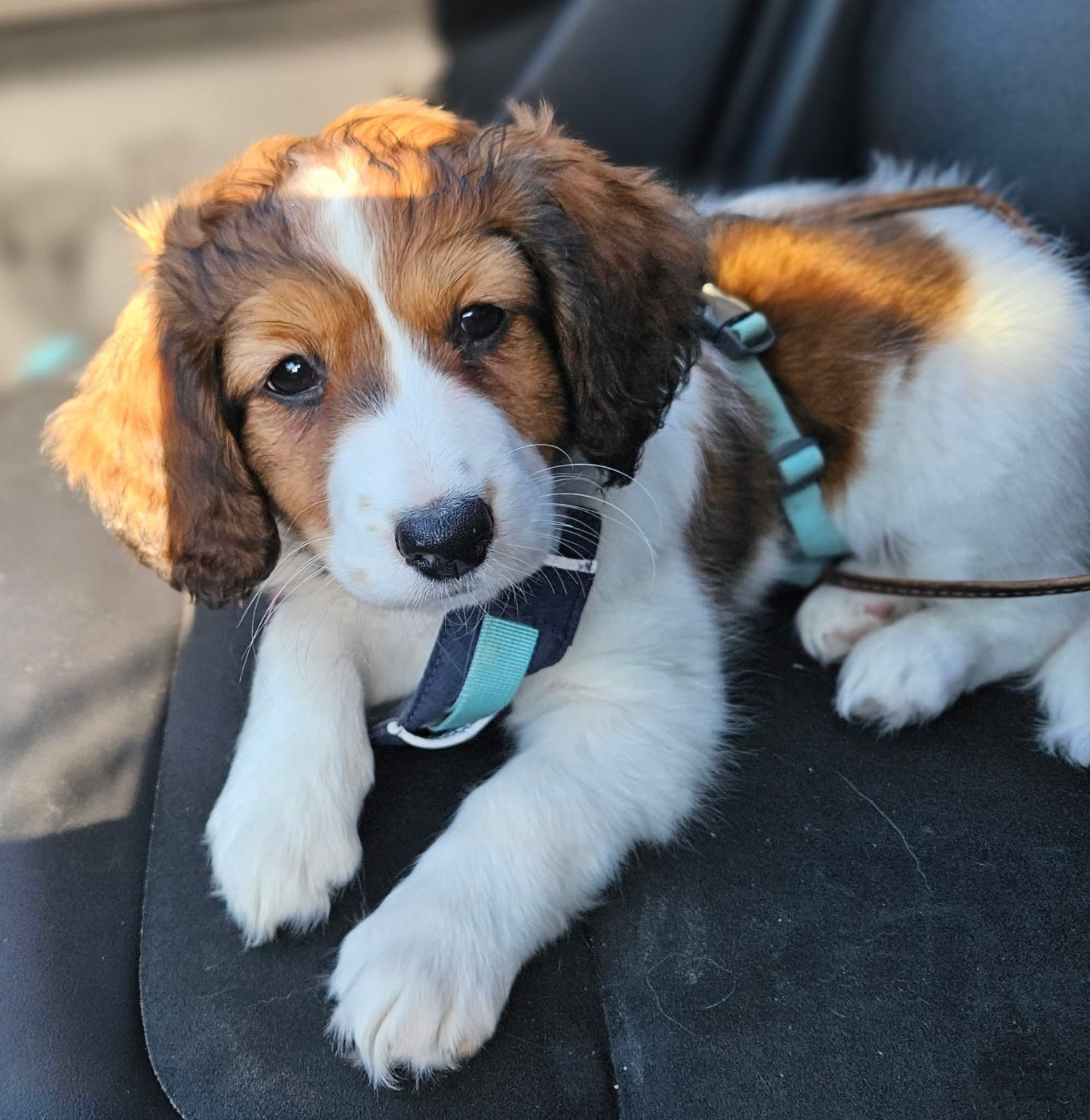 Tuffntendr Pop Up the Confetti