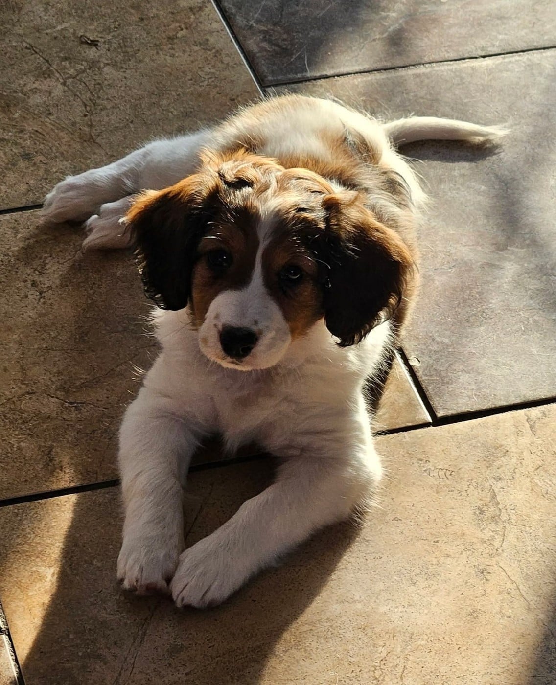 Tuffntendr Pop Up the Confetti