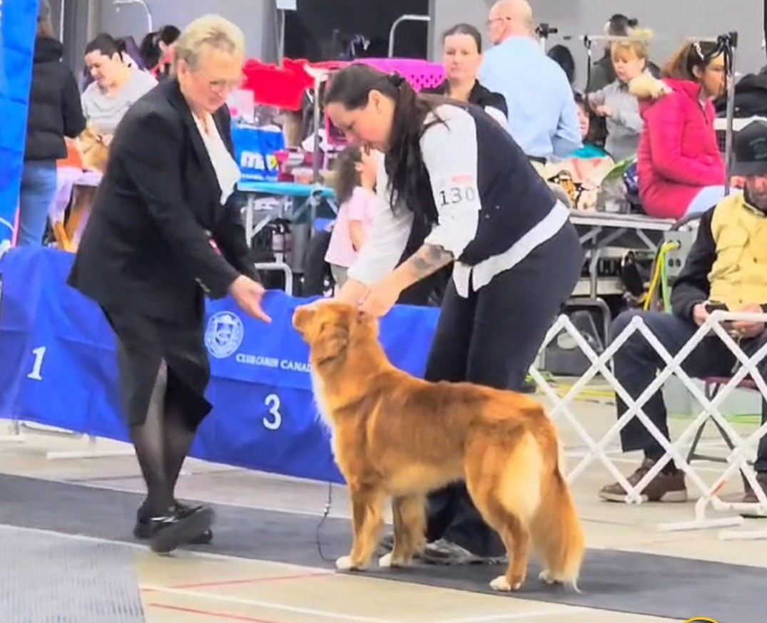 CH. avatar 's Callin'the Shots at TuffnTendr