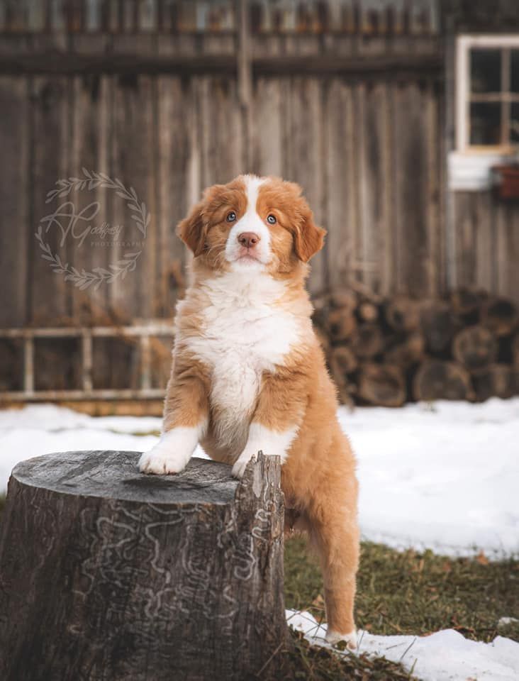 Tuffntendr Truth be Told