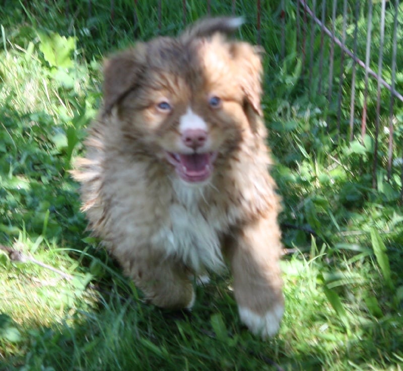 Tuffntendr Orange Crush Bubble