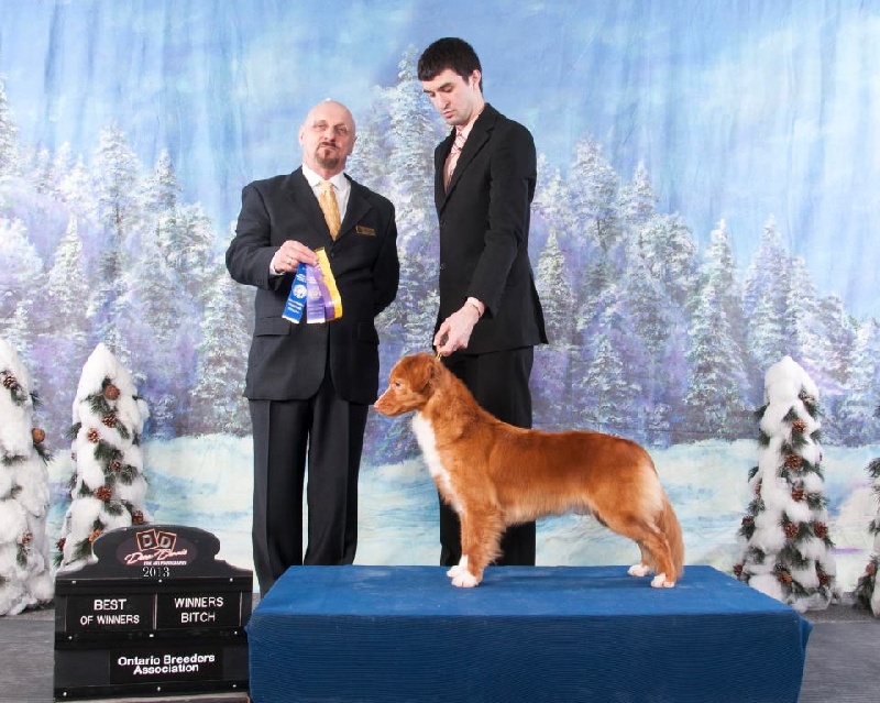 CH. Tuffntendr Ignite roaneden