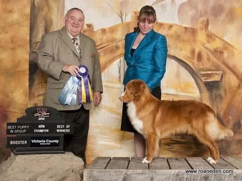 CH. Tuffntendr 's roaneden reel'em in