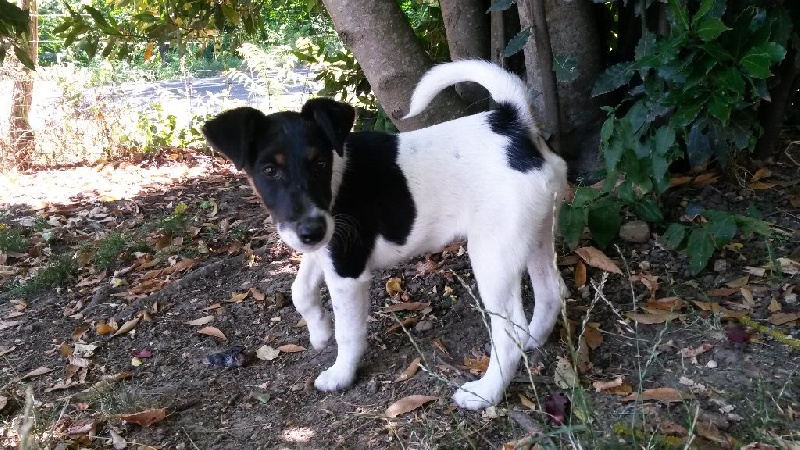 Lethik des Liens du Feu